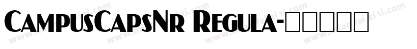 CampusCapsNr Regula字体转换